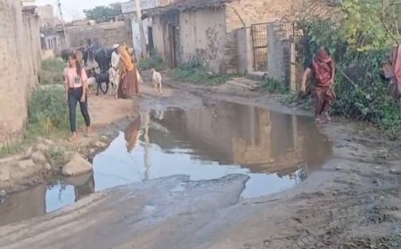 हमारी भी सुन लो सरपंच साहब: सेथुरिया पंचायत के सोपुरा के लोगों ने कहा-कई बार समस्या बता चुके, सुनवाई नहीं