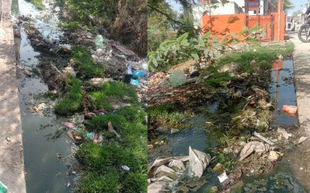 नवरात्र में ग्राम पंचायत राशमी की अनदेखीः देव स्थान पर नालियों की सफाई नहीं होने से सड़कों के पास भरा गंदा पानी; गंदगी फैलने से बढ़ रही बीमारियां