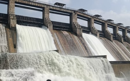 जवाई बांध से रबी फसल के लिए जल वितरण समिति की बैठक 4 अक्टूबर को