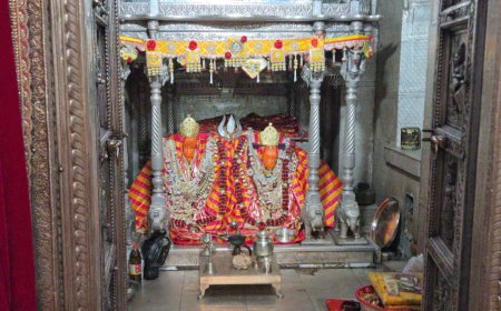 गुहाला डेहरा जोहड़ी से शाकंभरी तक ग्यारहवीं विशाल पैदल यात्रा 29 को