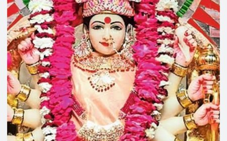 माता धोलागढ़ देवी की 13वीं निशुल्क पदयात्रा 1अक्टूबर को