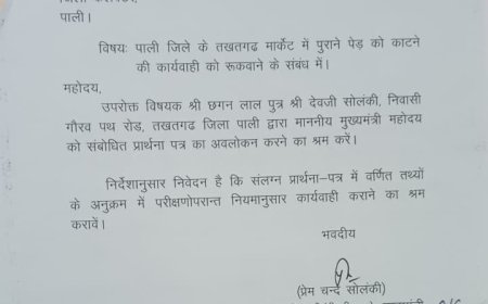 तखतगढ़ में पुराने पेड़ को काटे जाने की आशंका, जागरूक नागरिकों ने किया विरोध