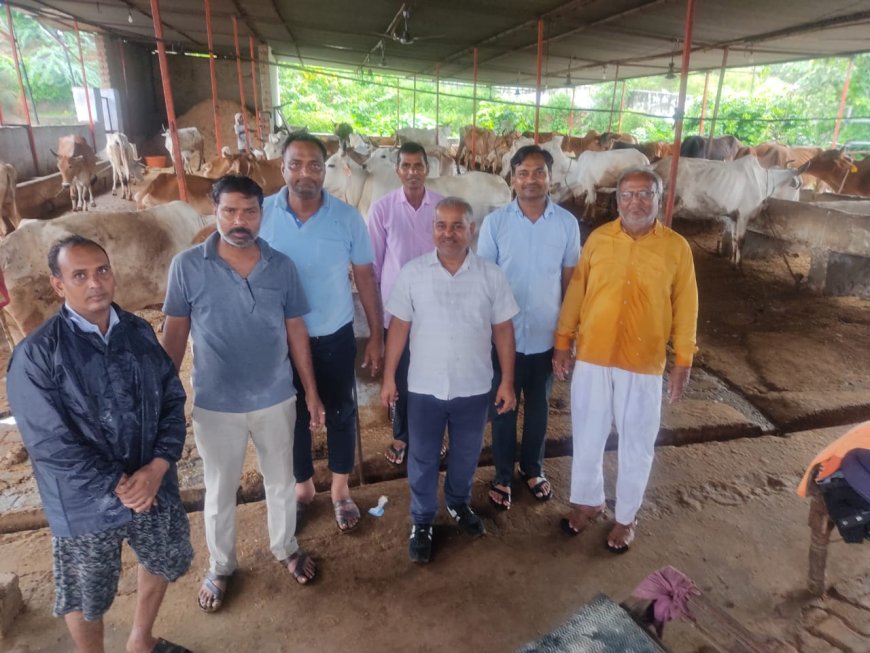 श्री श्याम सखा सेवा समिति महुवा के तत्वाधान में जलझूलनी ग्यारस पर श्री कृष्ण गोपाल गौशाला महुवा में गौ माताऔ को खिलाया हरा चारा सब्जी गुड