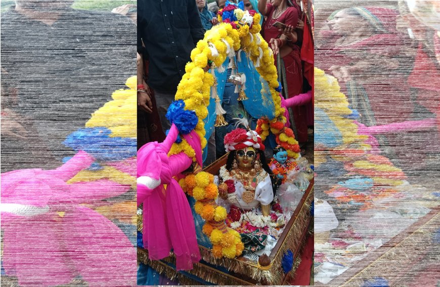 उदयपुरवाटी में जलझूलनी एकादशी पर भगवान को पालकी में बैठा कर करवाया नगर भ्रमण