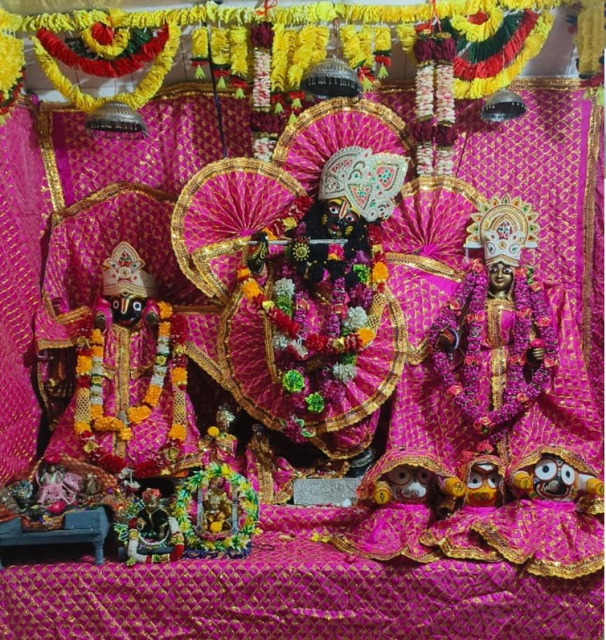 धूमधाम से मनाई जलझूलनी एकादशी