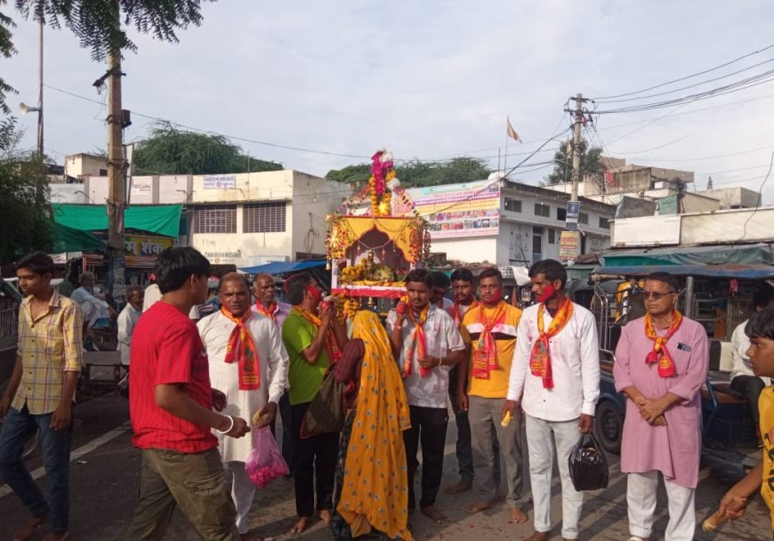 ठाकुर जी के निकाले डोले जलझूलनी एकादशी मनाई धूमधाम से मनाई