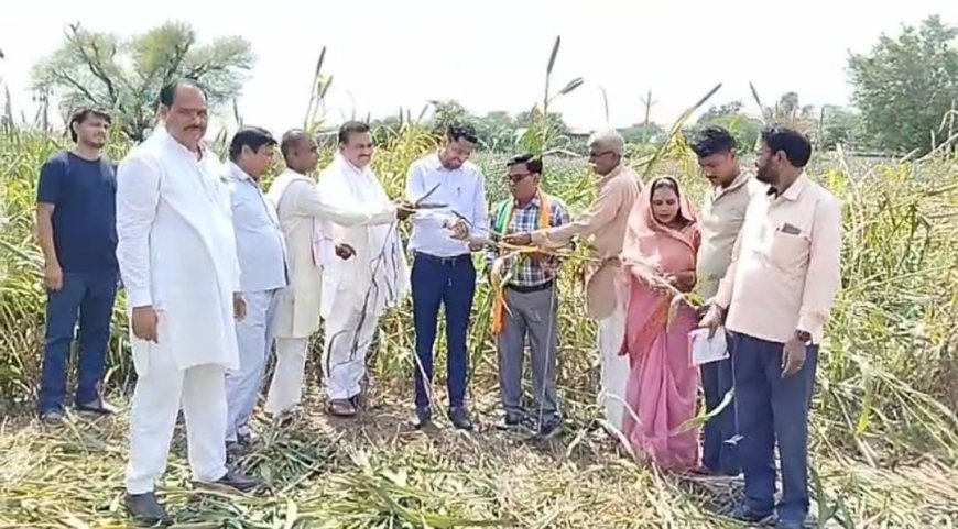 विधायक रमेश खींची ने क्षेत्र में अधिकारियों के साथ खराब हुई फसल किया निरीक्षण
