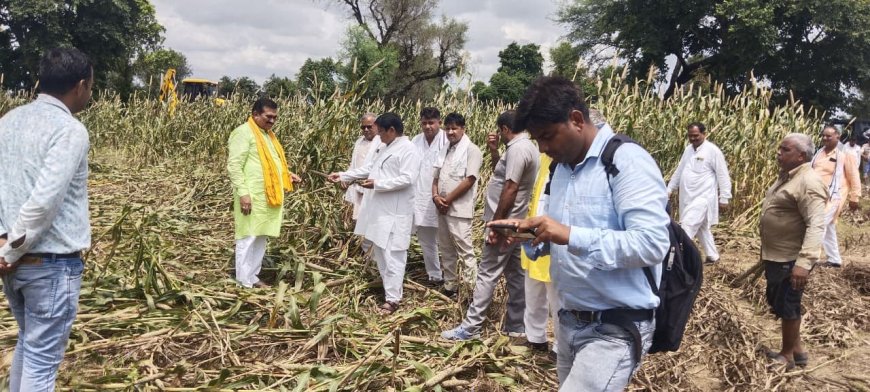 विधायक रमेश खींची ने किसानों के साथ खेतों पहुंचकर खराब फसलों का किया निरीक्षण