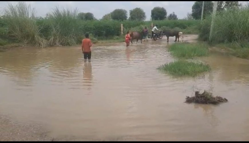 लुहासा - जटपुरा सड़क मार्ग पर महात्मा गांधी कॉलेज के पास  जल-भराव से जन जीवन अस्त व्यस्त