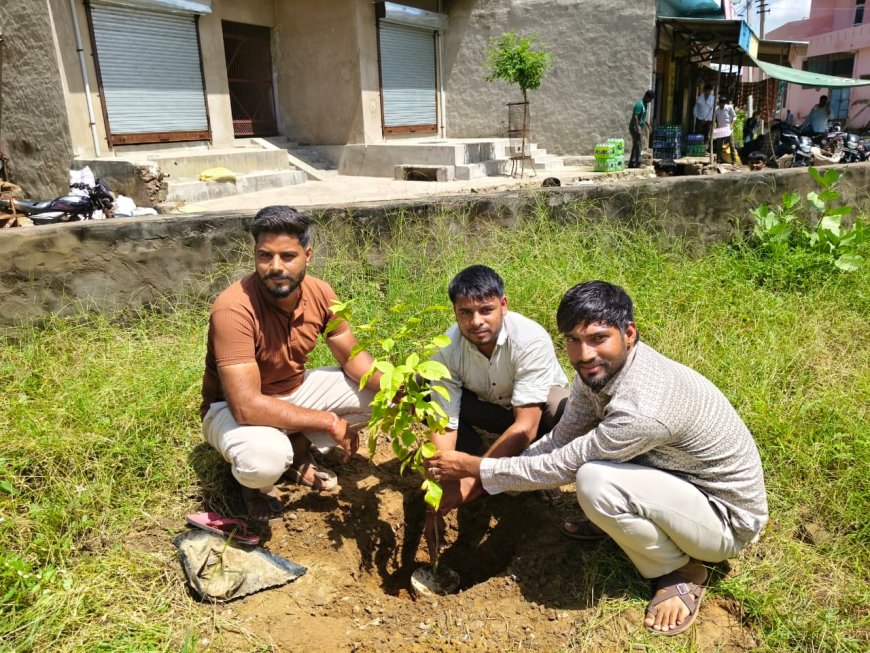 आजाद युवा मंडल अध्यक्ष ने बेटी के जन्मोत्सव पर किया वृक्षारोपण