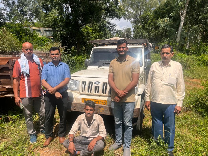 अवैध परिवहन व अवैध खनन के विरुद्ध वन विभाग की उदयपुरवाटी क्षेत्र में बड़ी कार्यवाही