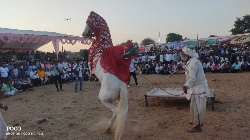 बेरी पशु मेले में घोड़ियों ने किया शानदार नृत्य हॉर्स रिंग कार्यक्रम को देखने उमड़ी लोगों की भीड़ ,बेरी पशु मेले का आज होगा समापन