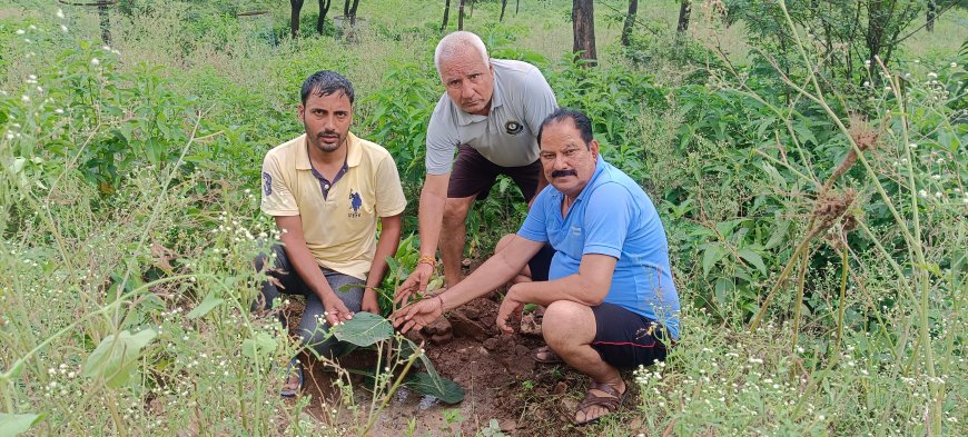 श्राद्ध पक्ष में बरगद, पीपल, गूलर के 11 पौधे लगाकर किया पुण्य कार्य
