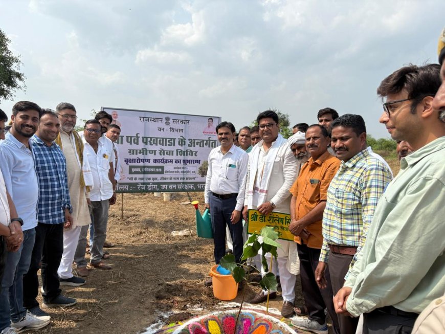 पर्यावरण संतुलन के लिए सबसे अधिक पेड़ लगाना आज की आवश्यकता - डॉशैलेश सिंह
