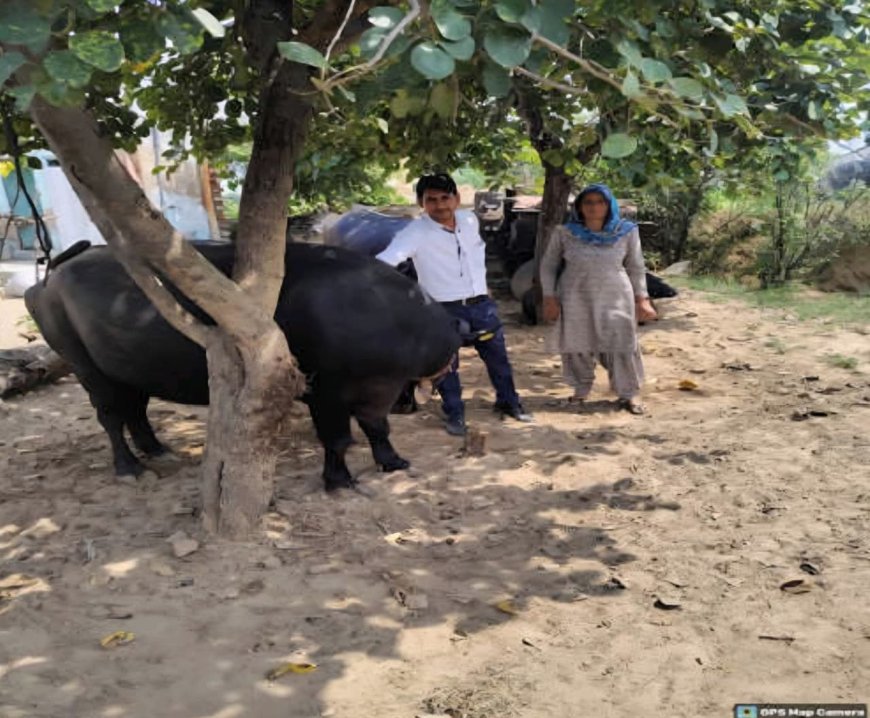 ग्रामीण सेवा शिविर में पेंशन व बीमा योजना से लाभान्वित हुए ग्रामीण