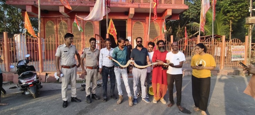 7 फिट लंबे अजगर का रेशक्यु कर जंगल में छोड़ा