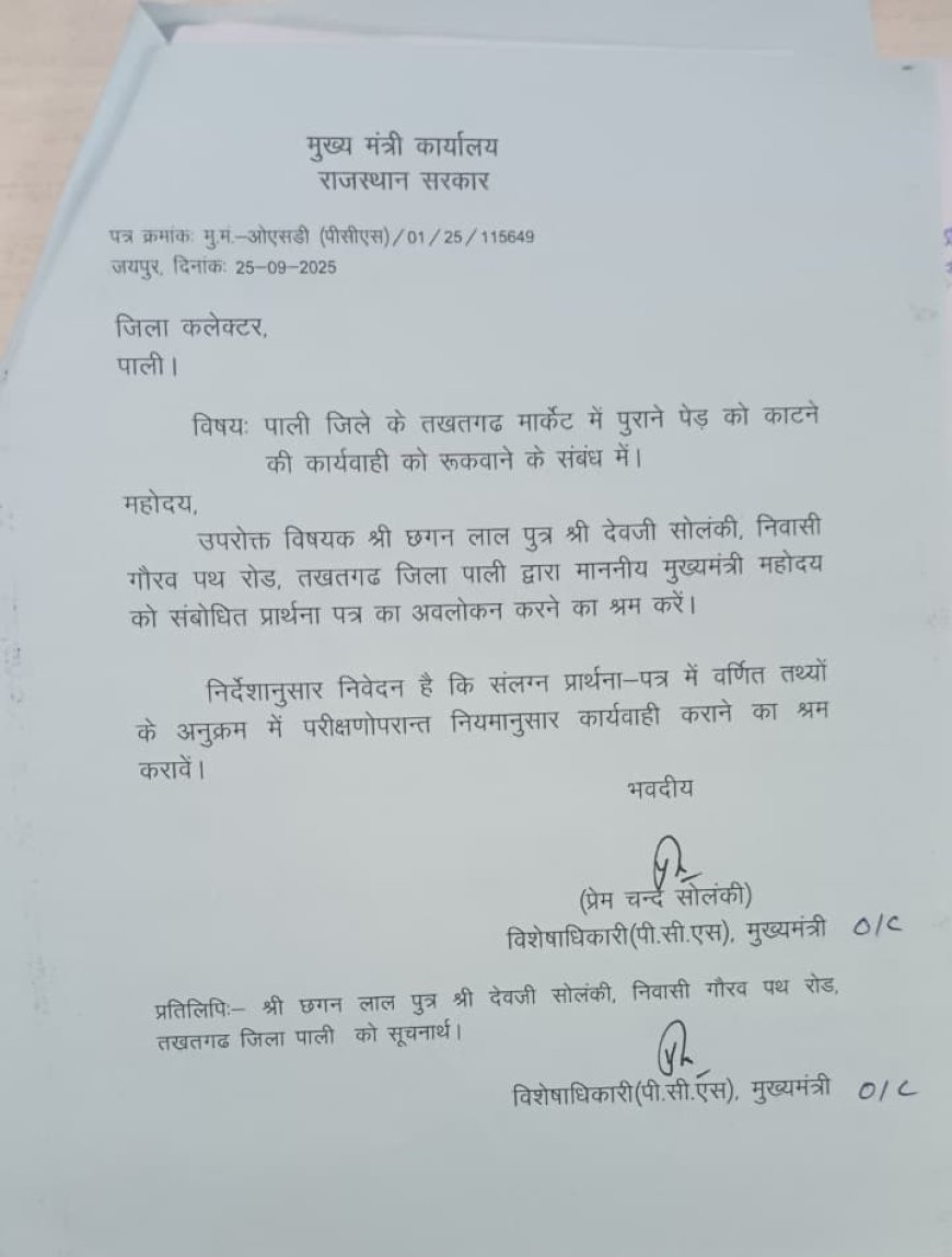 तखतगढ़ में पुराने पेड़ को काटे जाने की आशंका, जागरूक नागरिकों ने किया विरोध