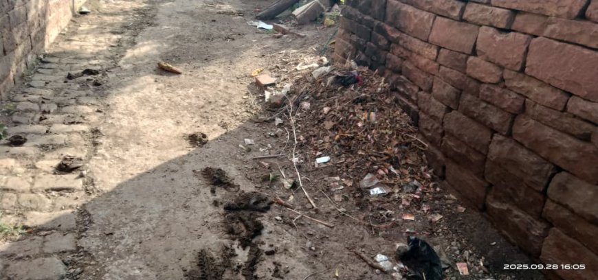 सफाई का पैसा डकार गए ठेकेदार, सुनकई गाँव कचरे में डूबा