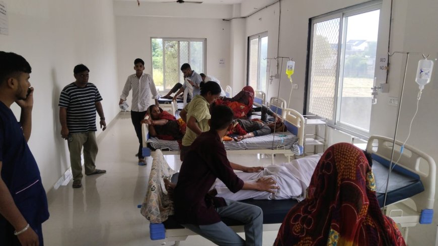 खाटू श्याम जी से जमवाय माता जाते वक्त इंद्रपुरा के पास मधुमक्खियां ने श्रद्धालुओ पर बोला हमला