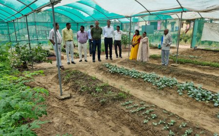 कृषि विज्ञान केंद्र, नौगांवा (अलवर-1) में वैज्ञानिक सलाहकार समिति की बैठक संपन्न