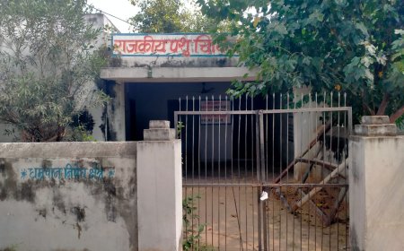 पशु चिकित्सालय बंद, बेजुबानों की जिंदगी पर संकट