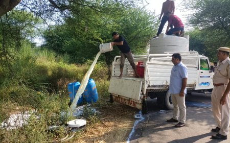 दिवाली से पूर्व खाद्य विभाग की बड़ी कार्रवाई, 4200 लीटर मिलावटी दूध कराया नष्ट