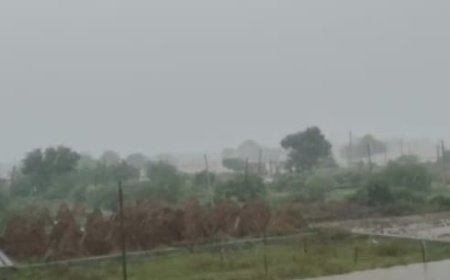 झमाझम बारिश किसानों के चेहरे खिले