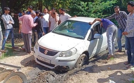 गाड़ी फंसने पर गाड़ी छोड़कर भागे बकरी चोर, गोठड़ा पुलिस ने गाड़ी को किया जप्त, बकरियां बरामद