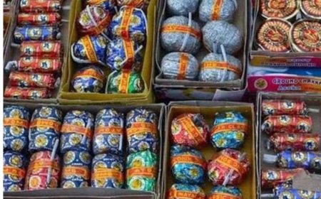 दीवाली पर पटाखों पर रोक को लेकर बंटे विचार पर्यावरण प्रेमियों ने किया समर्थन, तो आम लोगों ने जताई नाराजगी