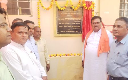 विधायक खींची ने जहाडू में  33/11 केवी सब स्टेशन का  किया उद्घाटन