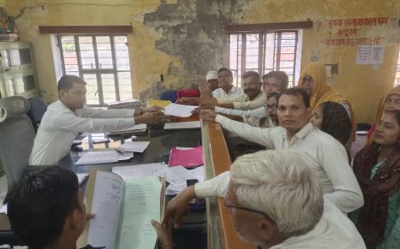 कठूमर में भीम आर्मी ने विभिन्न मांगों को लेकर एसडीएम को ज्ञापन सौंपा