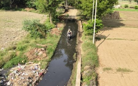 श्मशान तक जाने वाले रास्ते पर अतिक्रमण से लोग परेशान