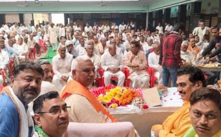 खेरली में आत्मनिर्भर भारत संकल्प अभियान के तहत भाजपा कार्यकर्ता सम्मेलन हुआ सम्पन्न