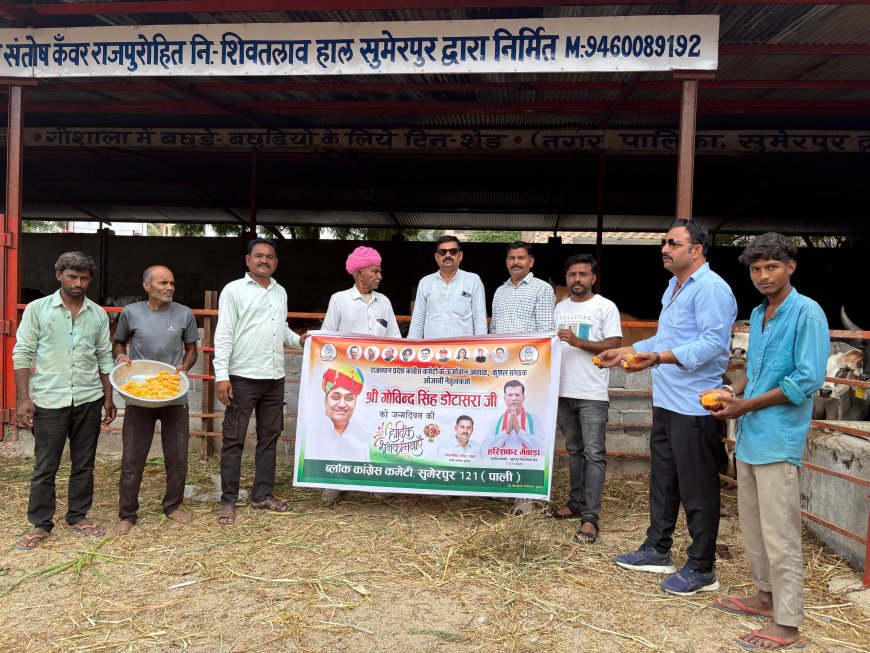 डोटासरा के जन्मदिन पर सुमेरपुर में कांग्रेसजनाें ने गाेधन काे गुड-चारा खिलाया, मंदबुद्धि बच्चों को प्रतिभोज कराया