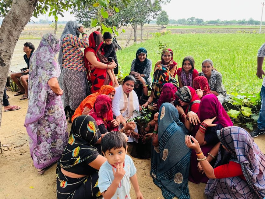 डोटासरा के जन्म दिन पर कांग्रेस कार्यकर्ता  ने किया वृक्षारोपण और मरीजों को बांटे फल
