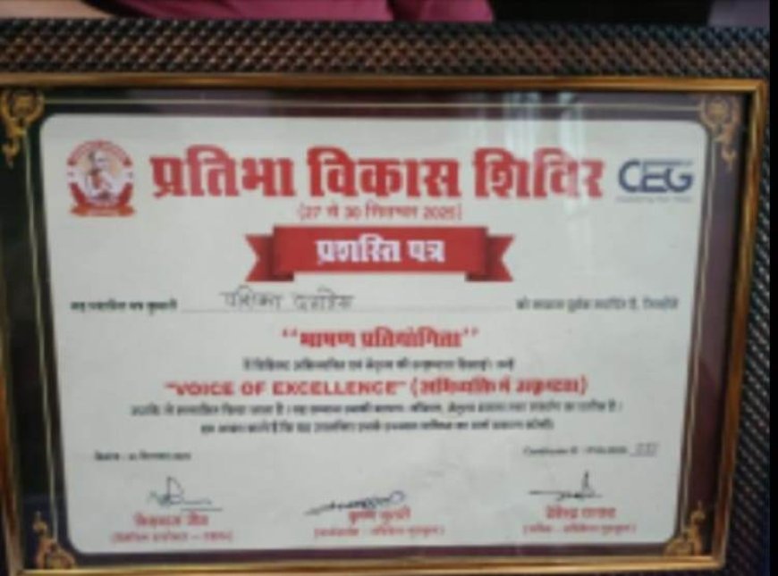 नचिकेता गुरुकुल एवं सी.ई.जी.के तत्वावधान में जयपुर में प्रतिभा विकास शिविर का हुआ आयोजन