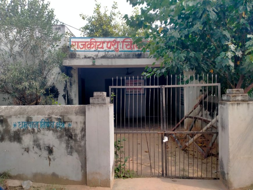 पशु चिकित्सालय बंद, बेजुबानों की जिंदगी पर संकट