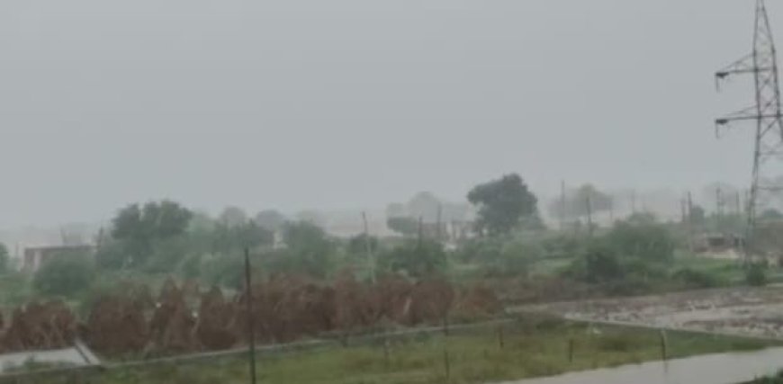 झमाझम बारिश किसानों के चेहरे खिले