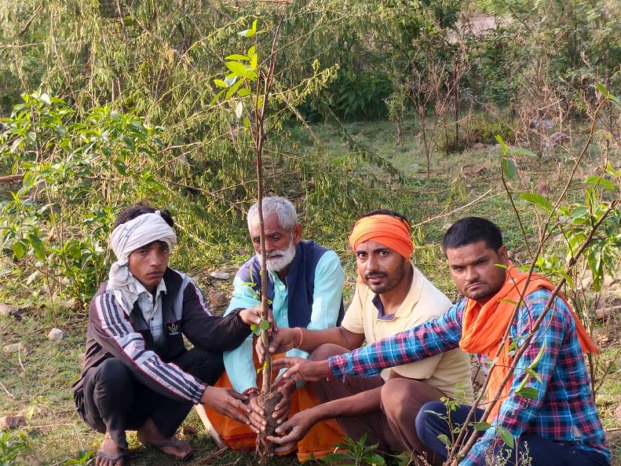 करवा चौथ पर 11 गूलर के पौधे लगाकर दिया पर्यावरण संरक्षण का संदेश