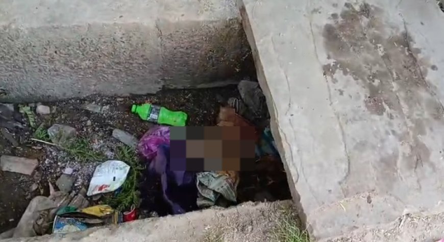 नवजात बालिका का शव मिलने से सनसनी: कहां गई ममता की कहानी?