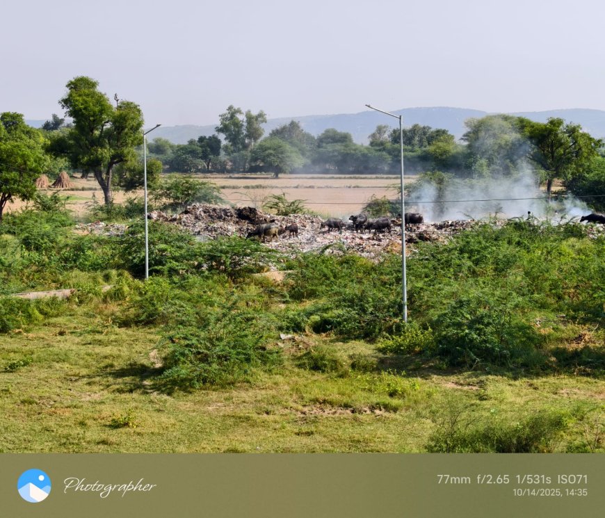 महाविद्यालय प्राचार्य ने अधिशासी अधिकारी को अपशिष्ट कचरे के संबंध में लिखा पत्र