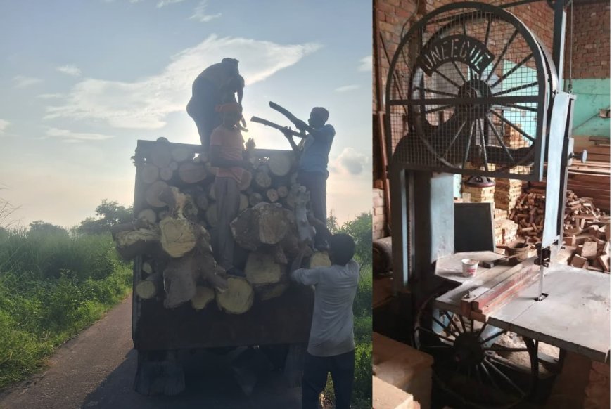 वन विभाग की मिलीभगत से लकड़ी का हो रहा है दोहन, आरा मशीन संचालकों की हो रही बल्ले बल्ले