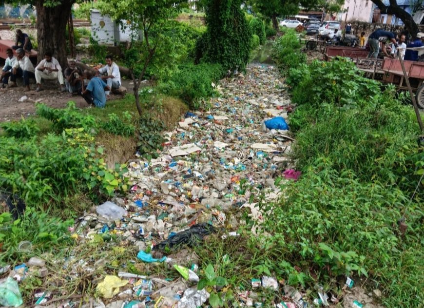 मॉनिटरिंग के अभाव में शहर की सफाई के हालात खराब, ऑटो टीपर भी नियमित नहीं आते