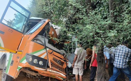 70 यात्रियों से भरी बस पेड़ से टकराई  30 यात्री घायल, 5 यात्रियों की हालत गंभीर;  आगरा से जयपुर जा रही थी बस