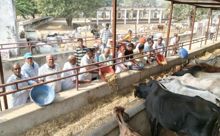 गुरुजी नाथूराम  दाधीच की पुण्य स्मृति  में गौशाला में हुआ गोस्वामणी का आयोजन