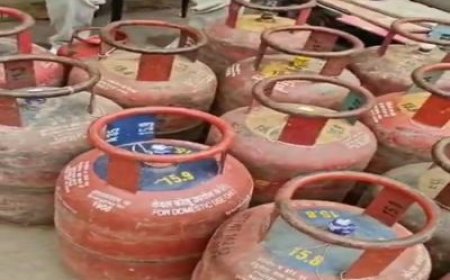 बहाला गांव के बस स्टैंड पर DSO की टीम ने छापा मारा,  घरेलू गैस वाहनों में भरते मिले 22 सिलेंडर जब्त