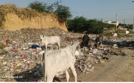 डंपिंग यार्ड नहीं होने से कचरे का बना पहाड़