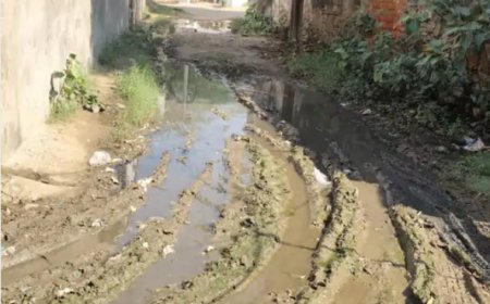 बड़ौदामेव के समीप शीतल गांव में 5 साल से भरा पानी: निकासी की उचित व्यवस्था नहीं होने से सड़कों पर फैला कीचड़, राहगीर परेशान
