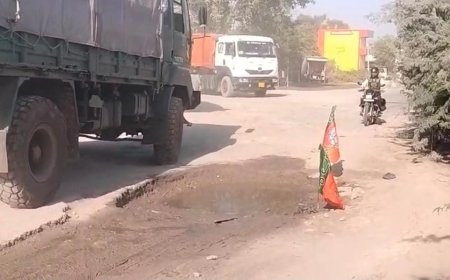 टूटी सड़क पर उड़ती धूल से त्रस्त जनता — भाजपा झंडा लगाकर जताया रोष