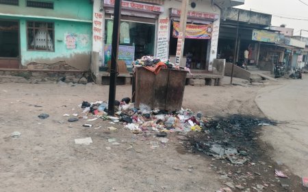 शहर की सफाई व्यवस्था चरमराई, कचरे के लगे ढेर